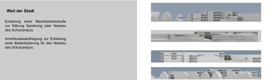 Weil der Stadt Erstellung einer Machbarkeitsstudie zur Klärung Sanierung oder Neubau des Schulcampus.  Anschlussbeauftragung zur Erstellung einer Bedarfsplanung für den Neubau des Schulcampus.  Projektvolumen von € 18 Mio. Leistungen: •	Bauherrenvertretung des Investors Hauber, Nürtingen •	Abstimmung mit dem Nutzer HfWU •	Beschaffung der Finanzierung